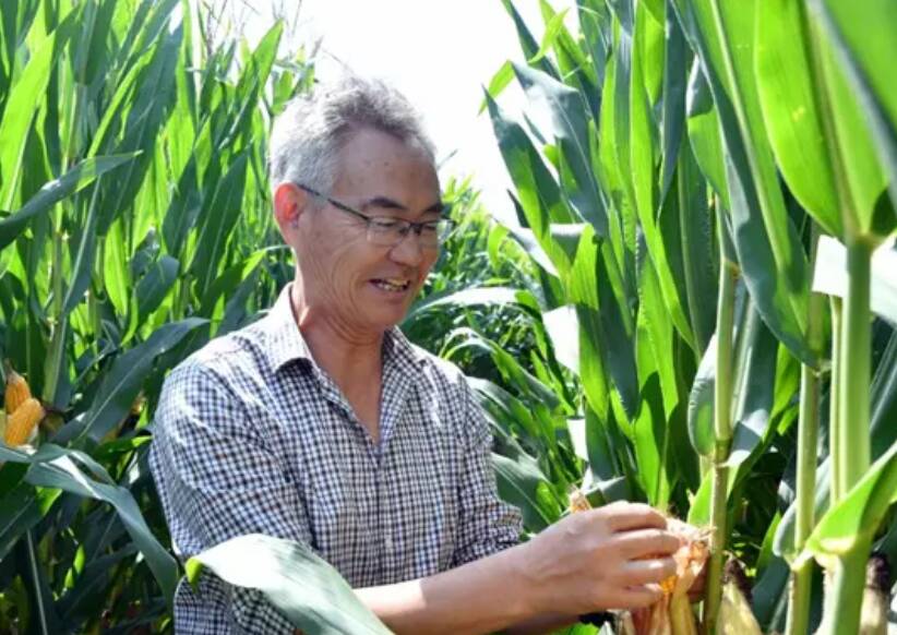 从“辛勤园丁”到“田专家”:李元敏的别样丰收季