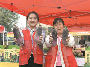 淄博高新区：品牌强农 描绘丰收画卷