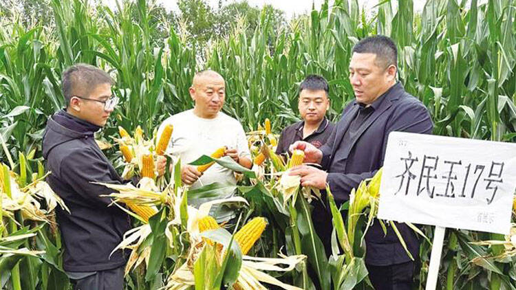 准备就绪！淄博“三秋”会战即将开启