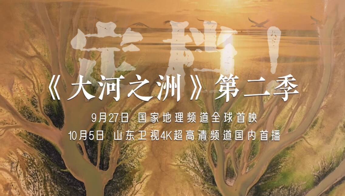 闪电评论丨当镜头成为生态的译者:我们为何需要一部湿地史诗?