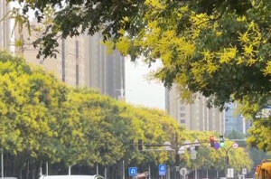 秋分过后 别再“秋冻”了