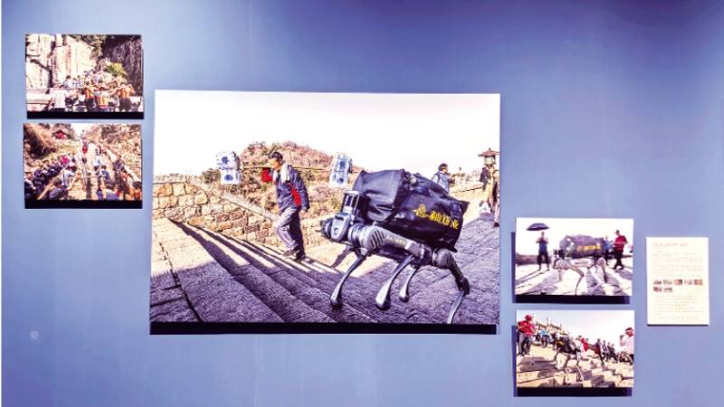 泰山挑山工题材作品入选第十二届全国农民摄影大展 作者是他