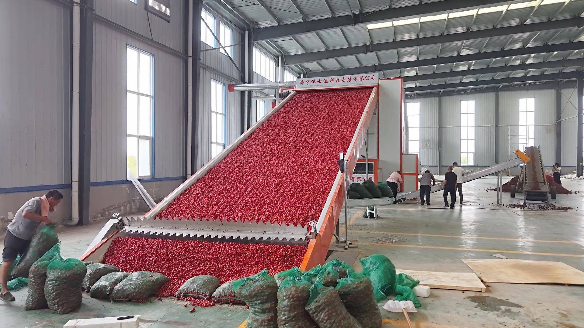 东平:科技赋能辣椒烘干 开足马力助农增收