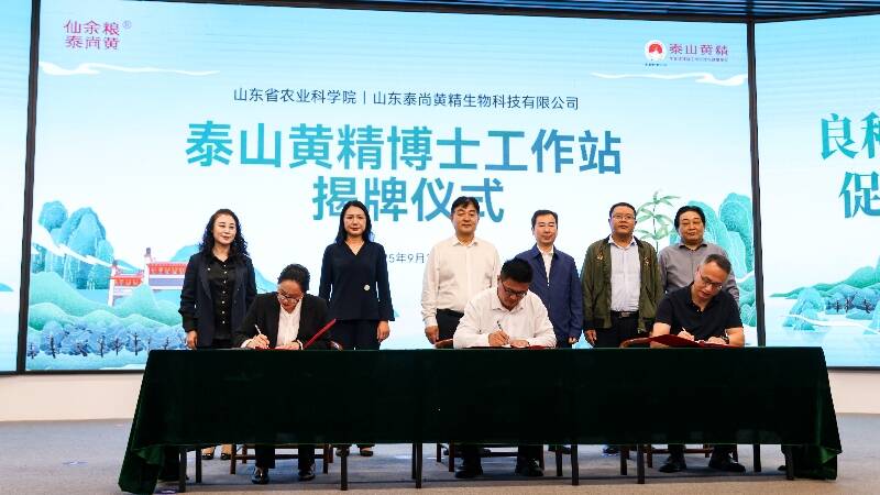 院企共育黄精良种 泰山黄精良种升级工程项目签约启动