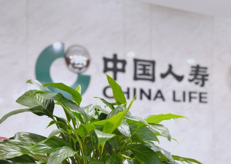 绿水青山间的保险力量：中国人寿绿色金融体系助力经济生态共生