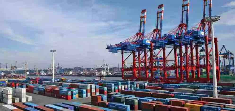 德州海关“远程属地查检”模式 为农产品出口再加速