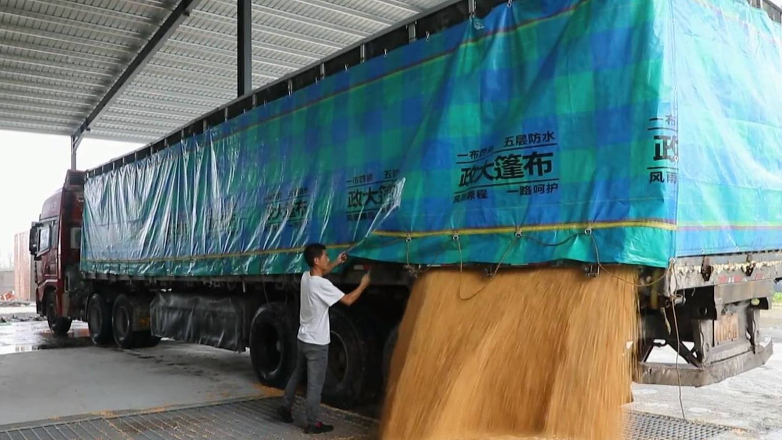 联播关键词｜各地多举措护航“三秋”生产