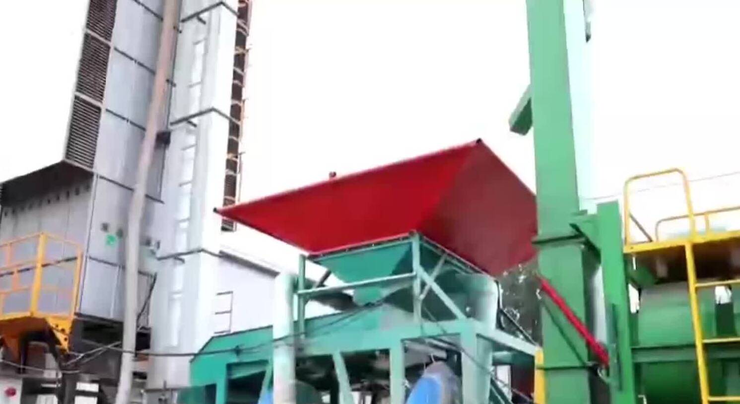 临沂:抢抓降雨“空窗期” 确保秋粮颗粒归仓