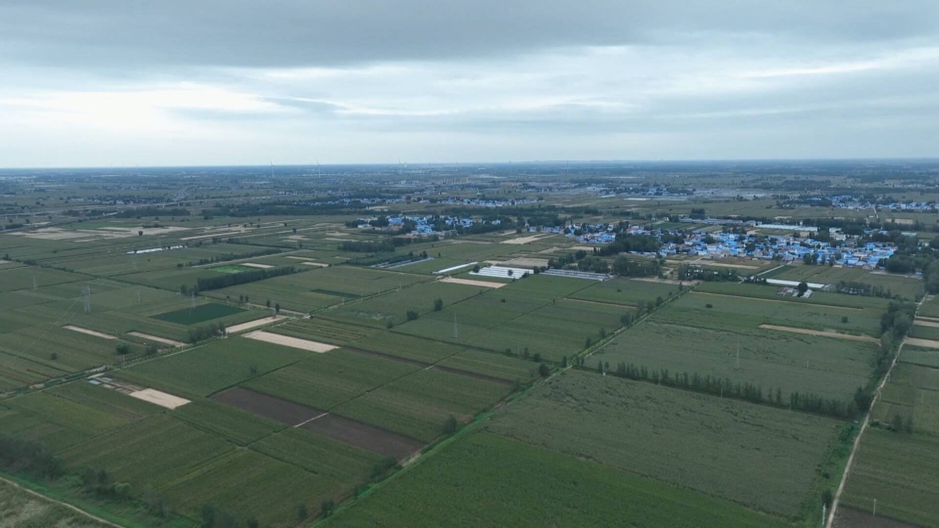 联播关键词|抢收抢烘 夺取丰收