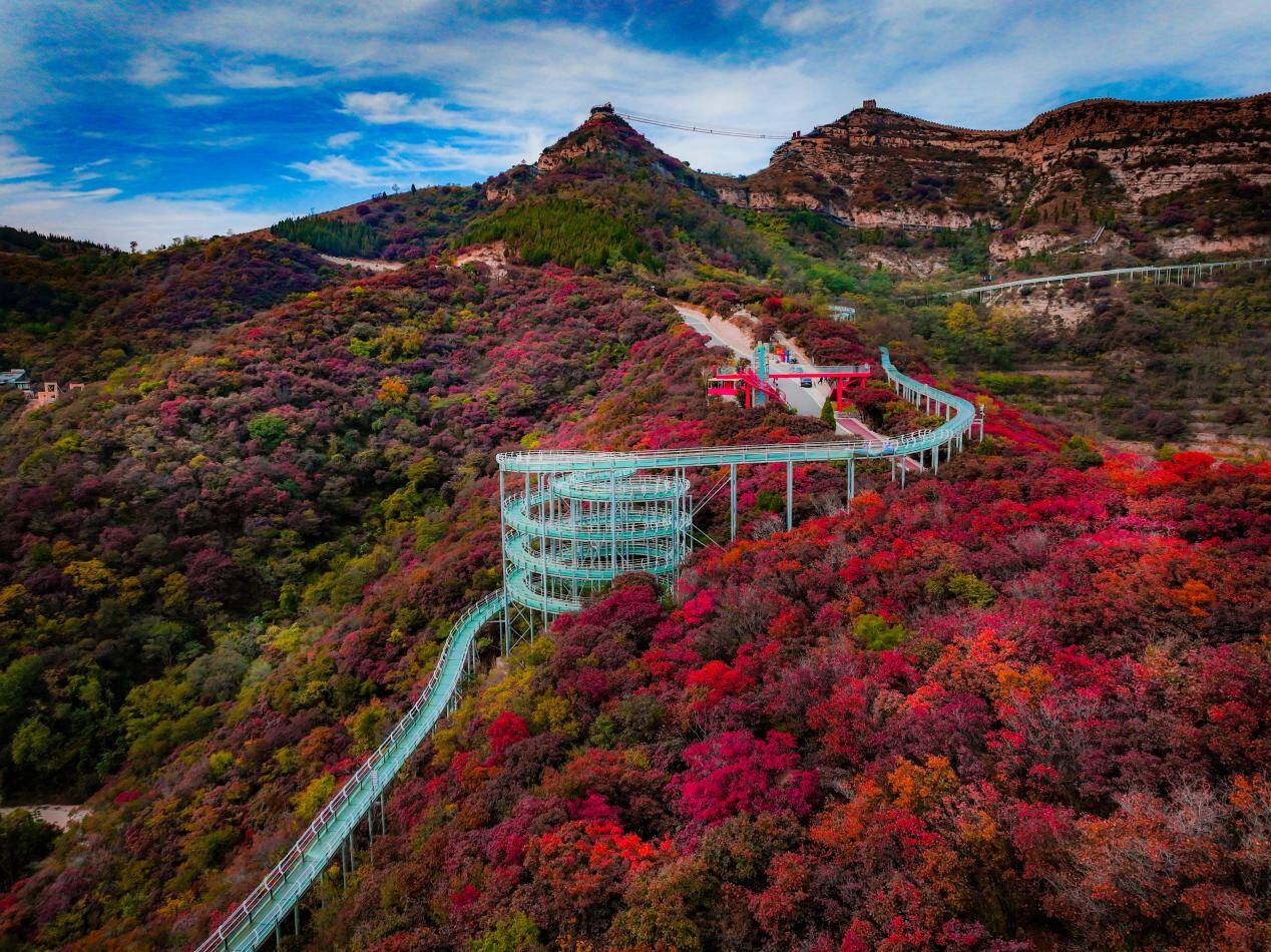 2025红叶柿岩“长城脚下红叶浓”第五届红叶季正式启幕