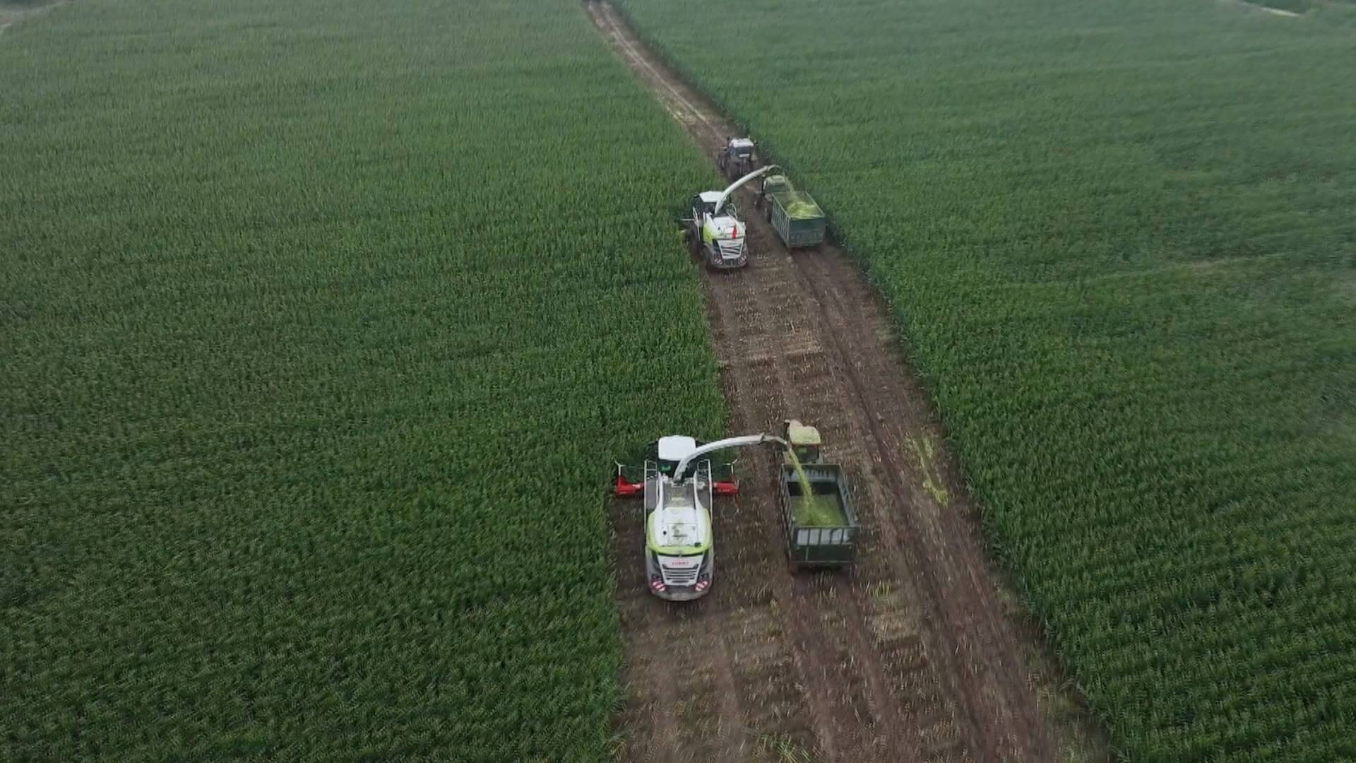 联播关键词|齐鲁“抢秋”