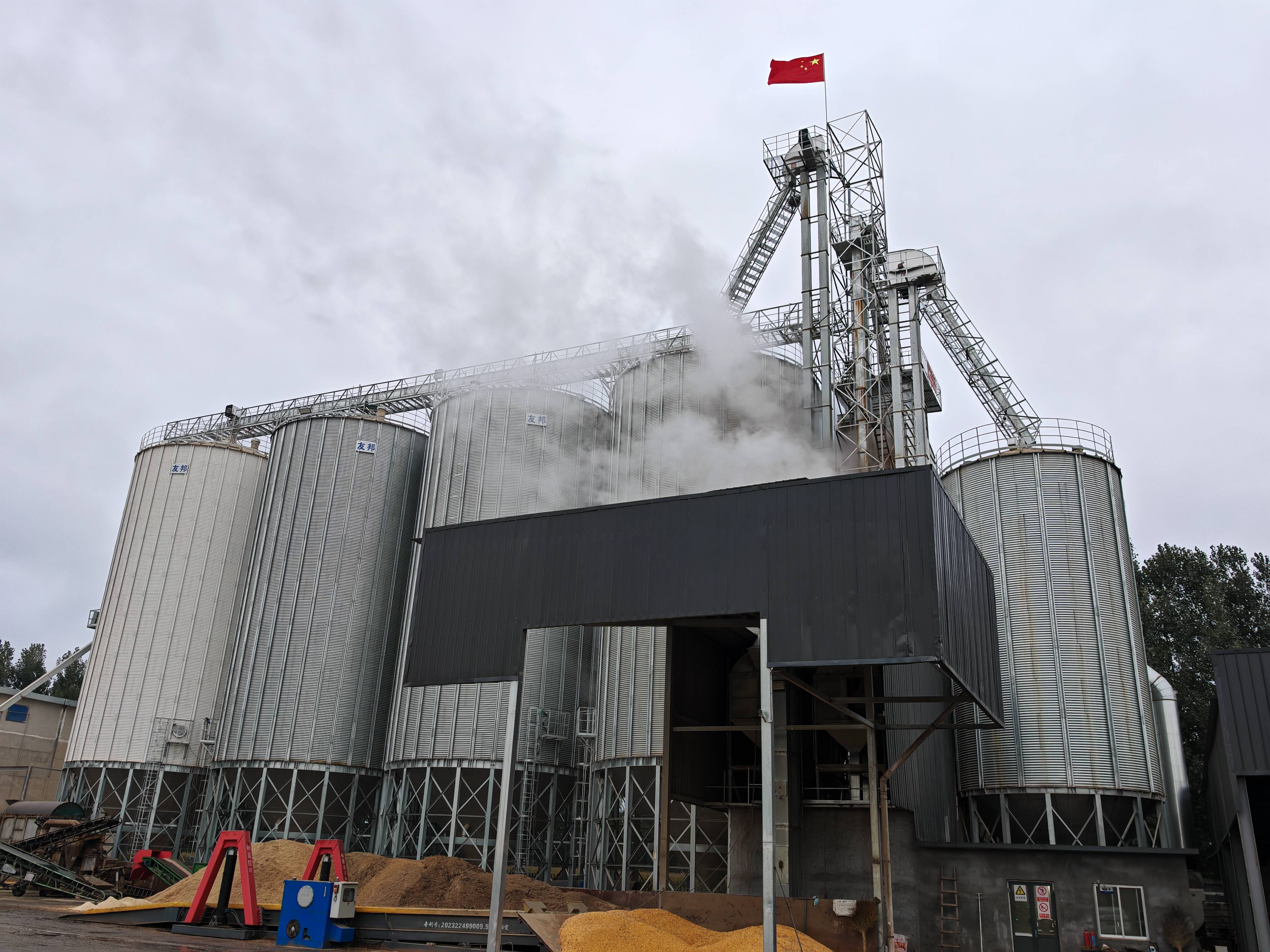 齐鲁“抢秋”|克服秋雨“拦路虎”!科技+人力双轮驱动 肥城市确保秋粮颗粒归仓