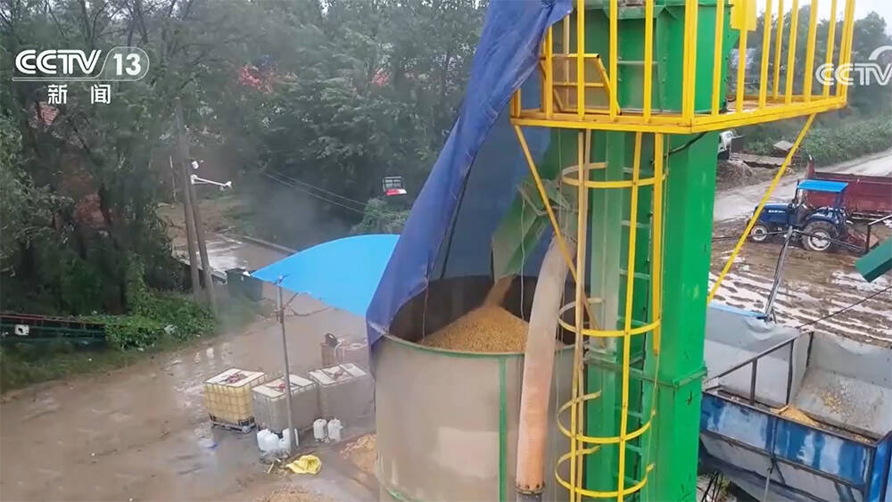“粮食银行”、移动烘干机、粮食烘干中心24h运转……央视聚焦德州抢收抢烘保障秋粮收获