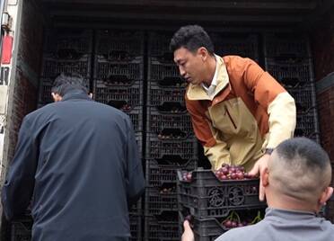 龙口市:一线助农添活力 全城接力显担当