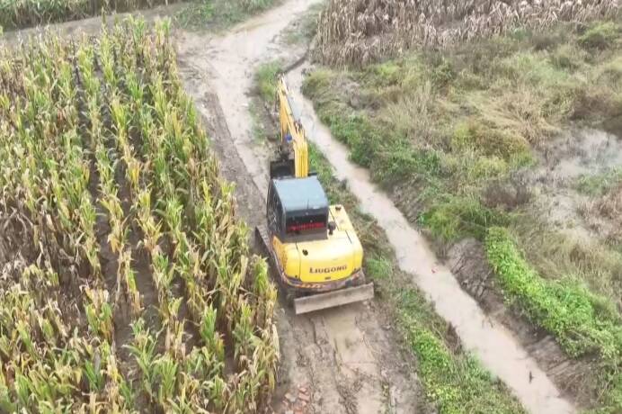 机械开渠、人力清淤，农田积水消退！德州陵城区：全力打通排涝“生命线”