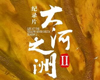 闪电海报｜纪录片《大河之洲》第二季4k超高清版上线闪电新闻