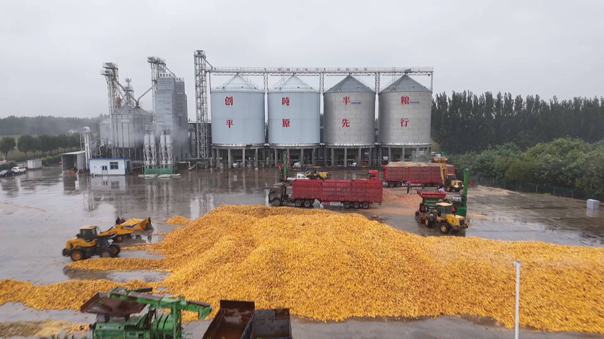 联播关键词｜下达“三秋”生产应急资金