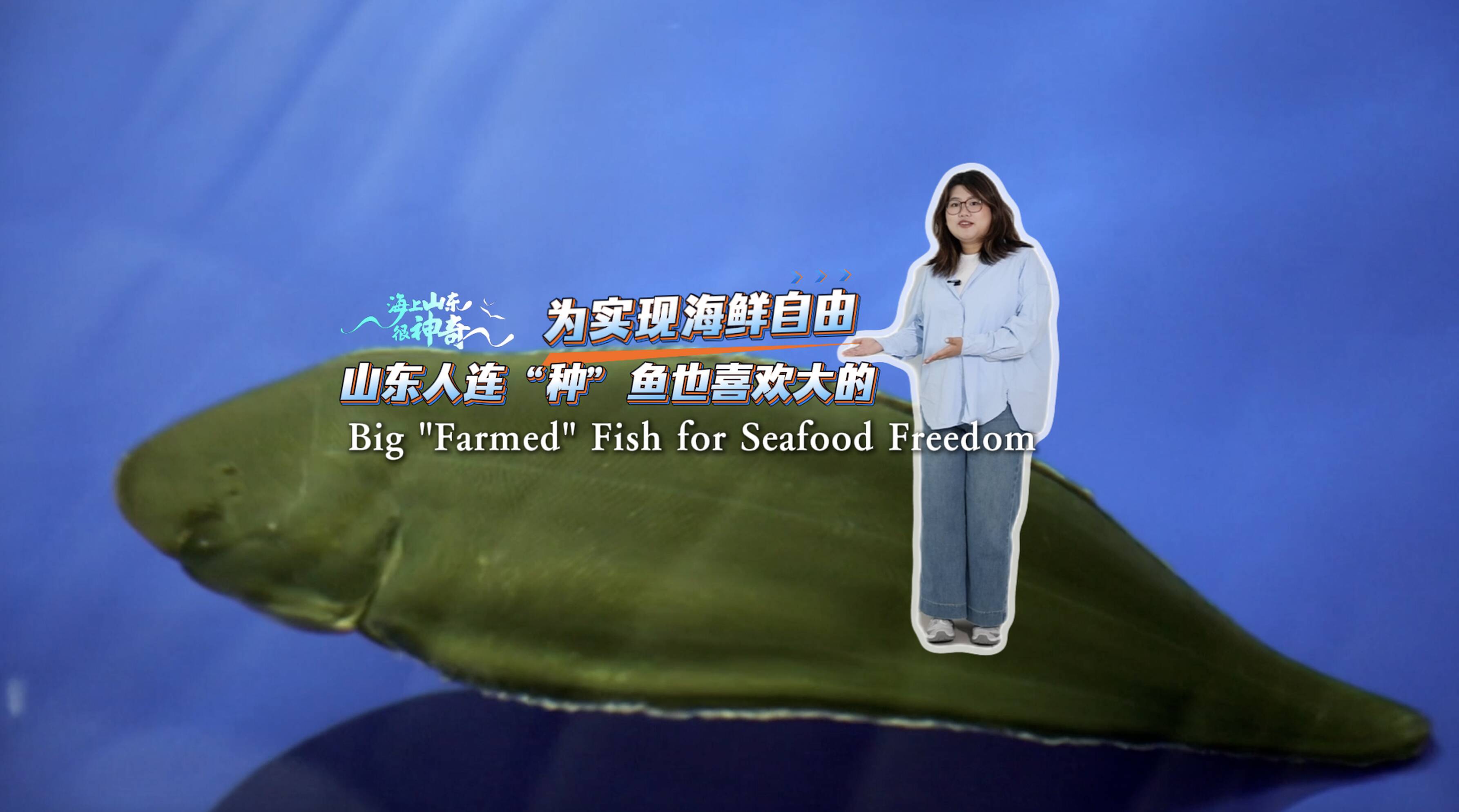 海上山东很神奇｜为实现海鲜自由，山东人连“种”鱼也喜欢大的