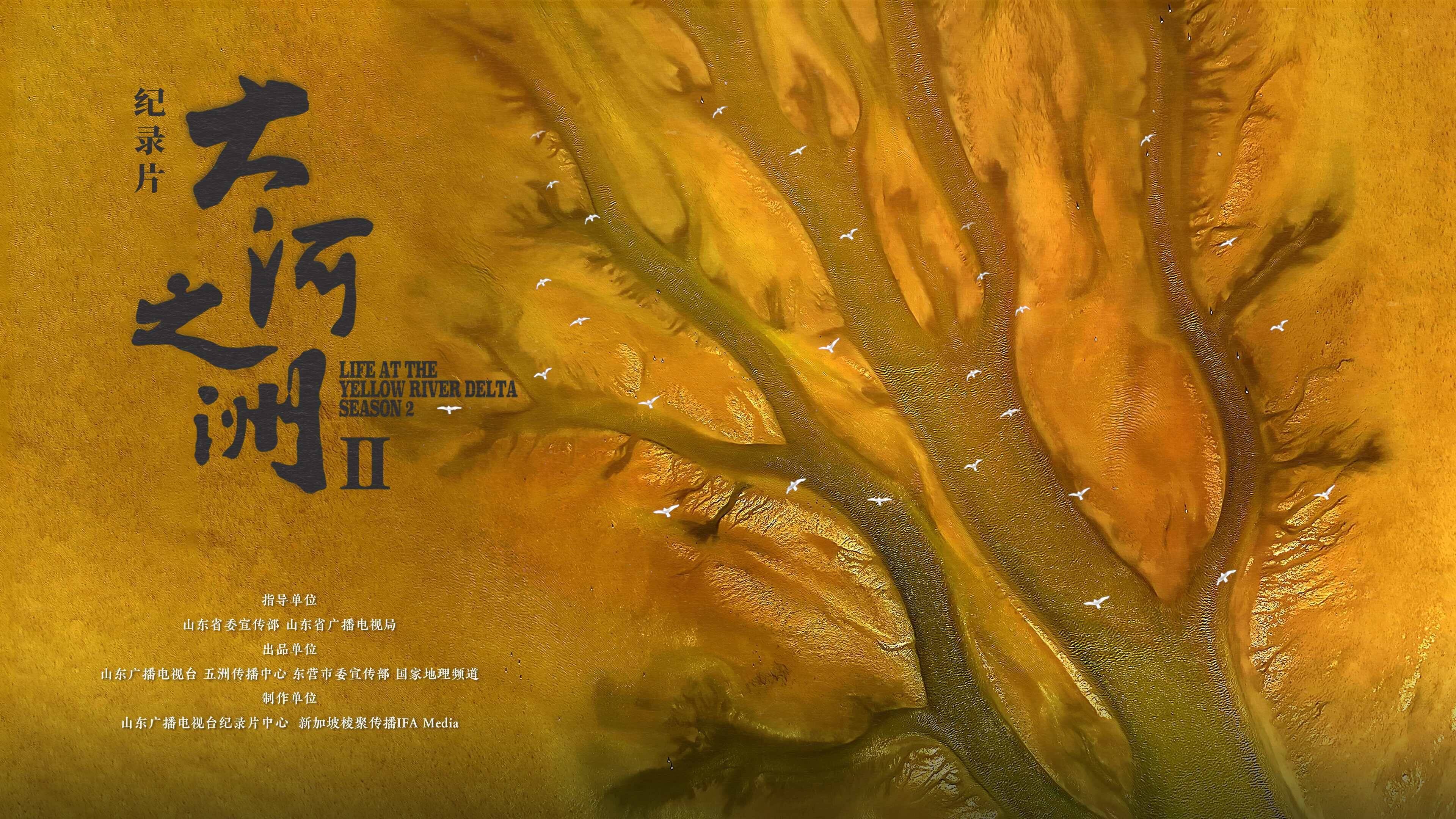 仅山东超133万IPTV用户收看大屏高清和4K直播!《大河之洲》第二季国内首播数据出炉