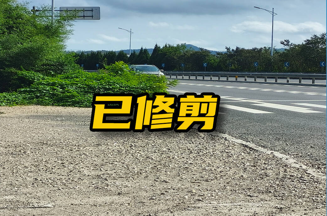 网络问政·办实事 | 网友：留言后，遮挡视线的绿化带修剪了