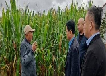 罕见秋汛来袭 烟台打响“秋收保卫战”