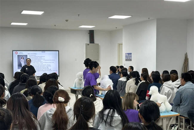 助力宠物行业人才培养!济南护理职业学院开展校企合作活动