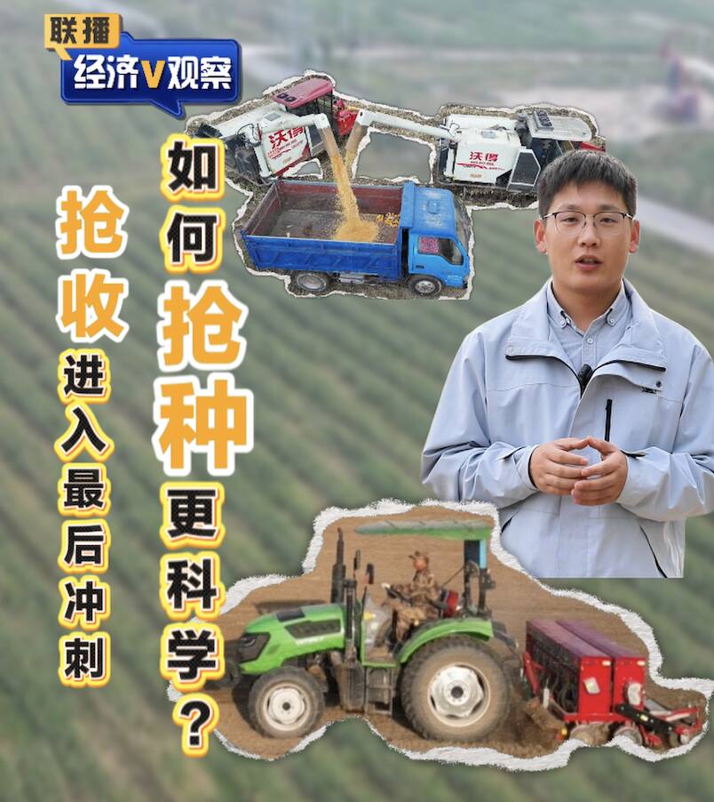 【联播“经济V观察”】抢收进入最后冲刺 如何抢种更科学？
