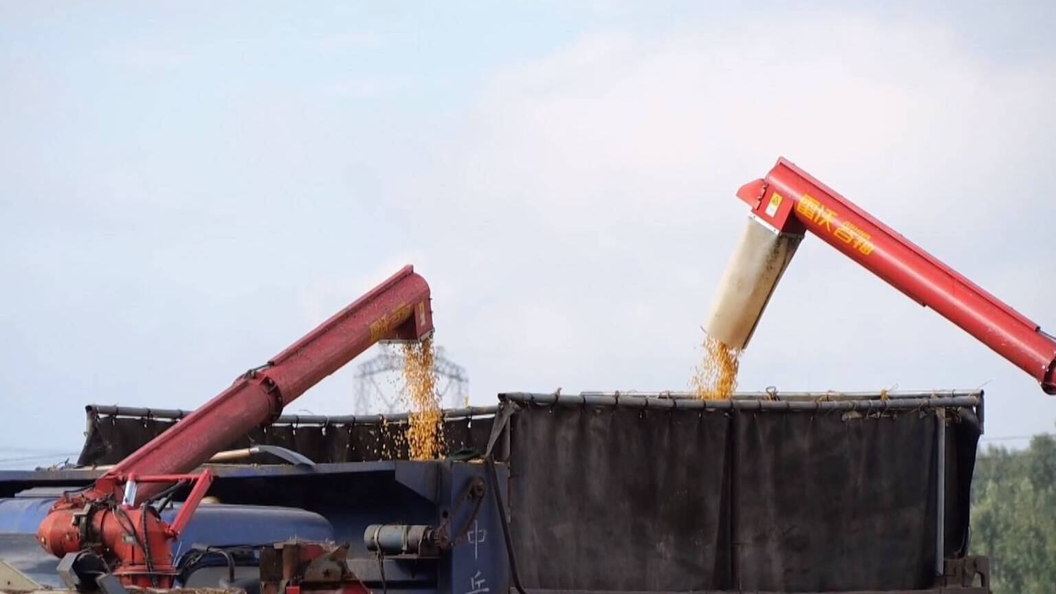 联播关键词｜抢天时 保秋收