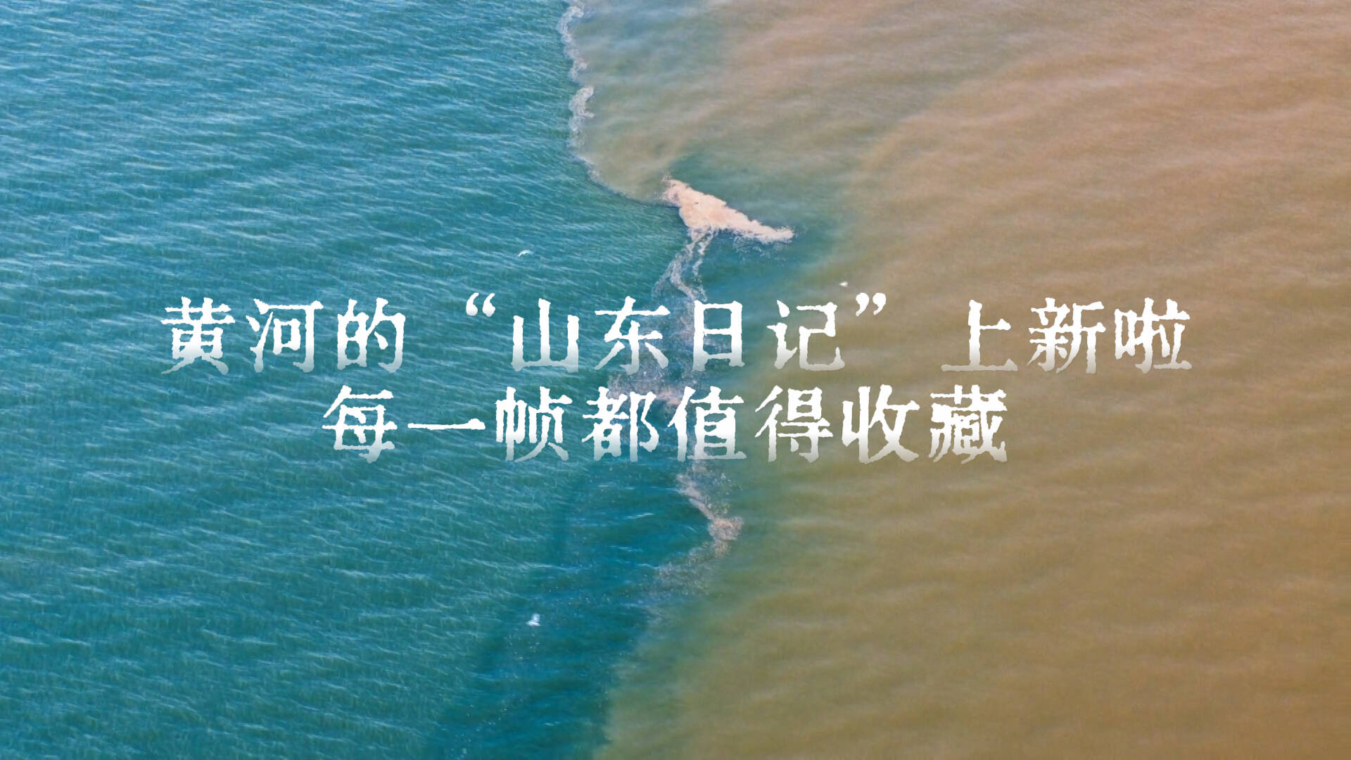 黄河的“山东日记”上新啦 每一帧都值得收藏