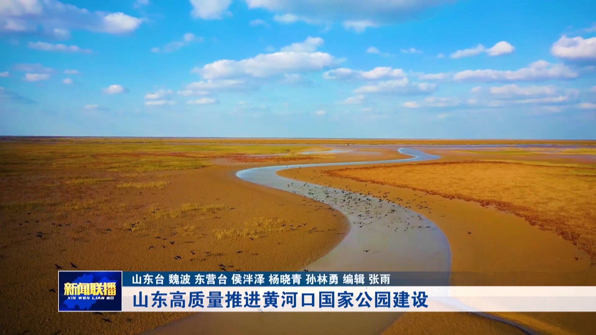 【非凡“十四五”】黄河口国家公园建设