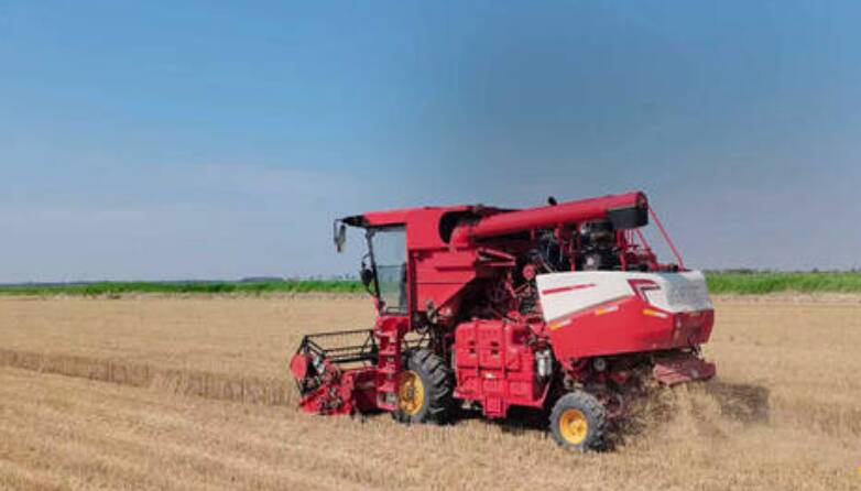 盐碱地变身“新粮仓”——东营市深入贯彻落实习近平总书记视察东营重要指示要求综述之二