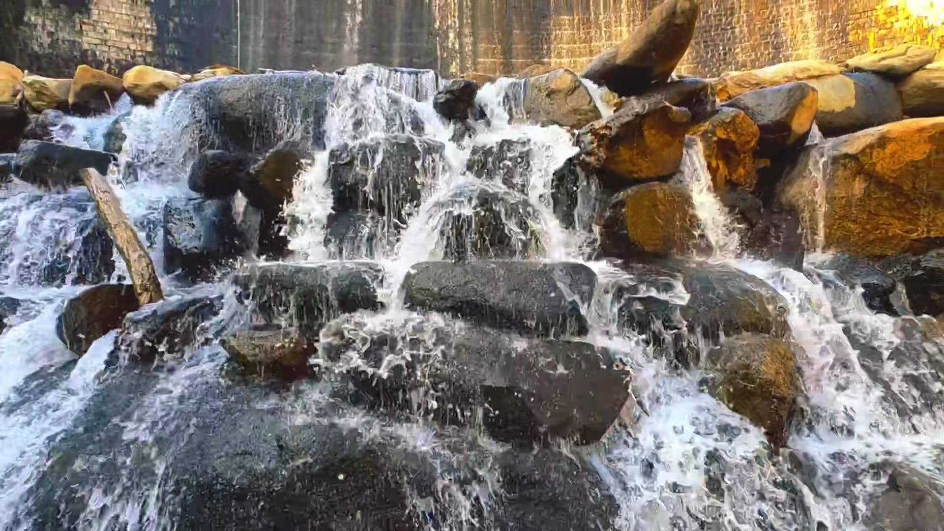 肥城：农技人员“上门义诊” 保障果蔬稳产增收