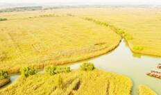 節(jié)氣里的淄博丨霜降至 秋如畫