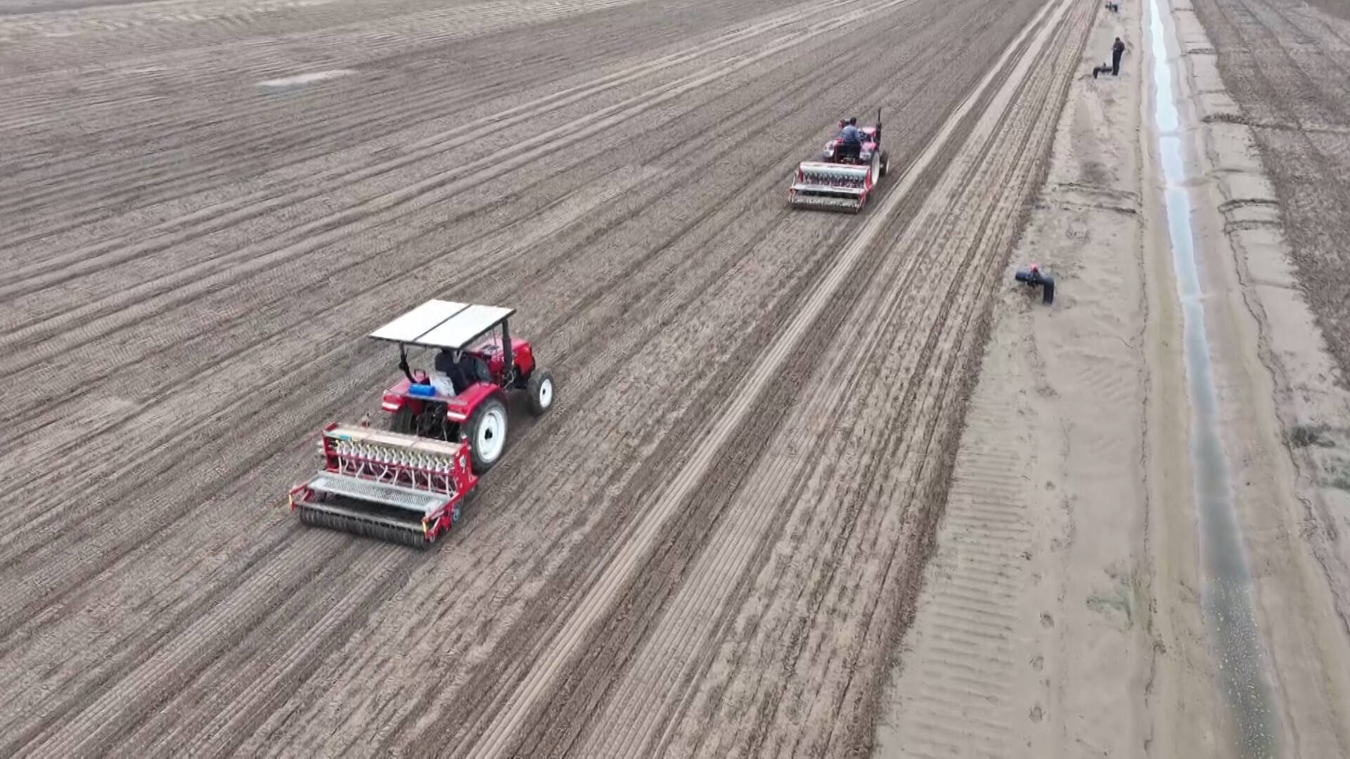 利津:5000亩新增耕地小麦开播 盐碱地焕发新生机