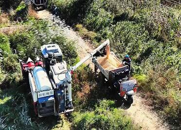 牟平:抢抓“黄金期”多措并举保秋收