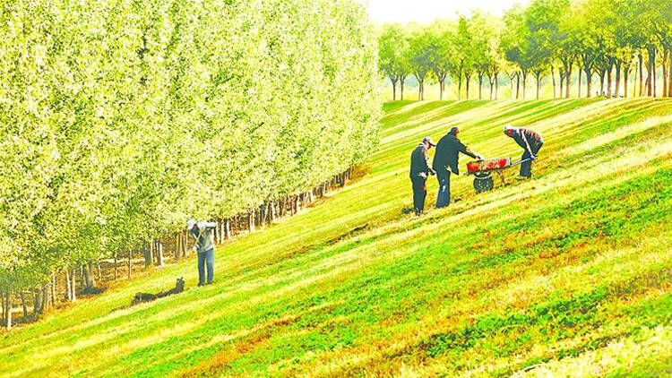 淄博：護堤防凍 保黃河安瀾