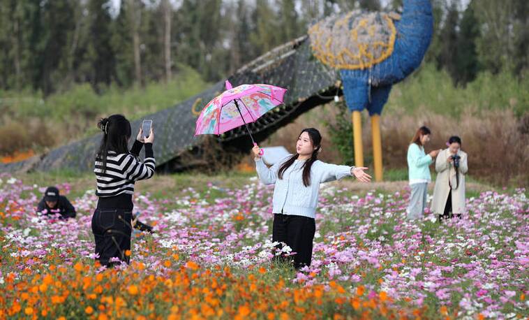 美丽花海迎客来