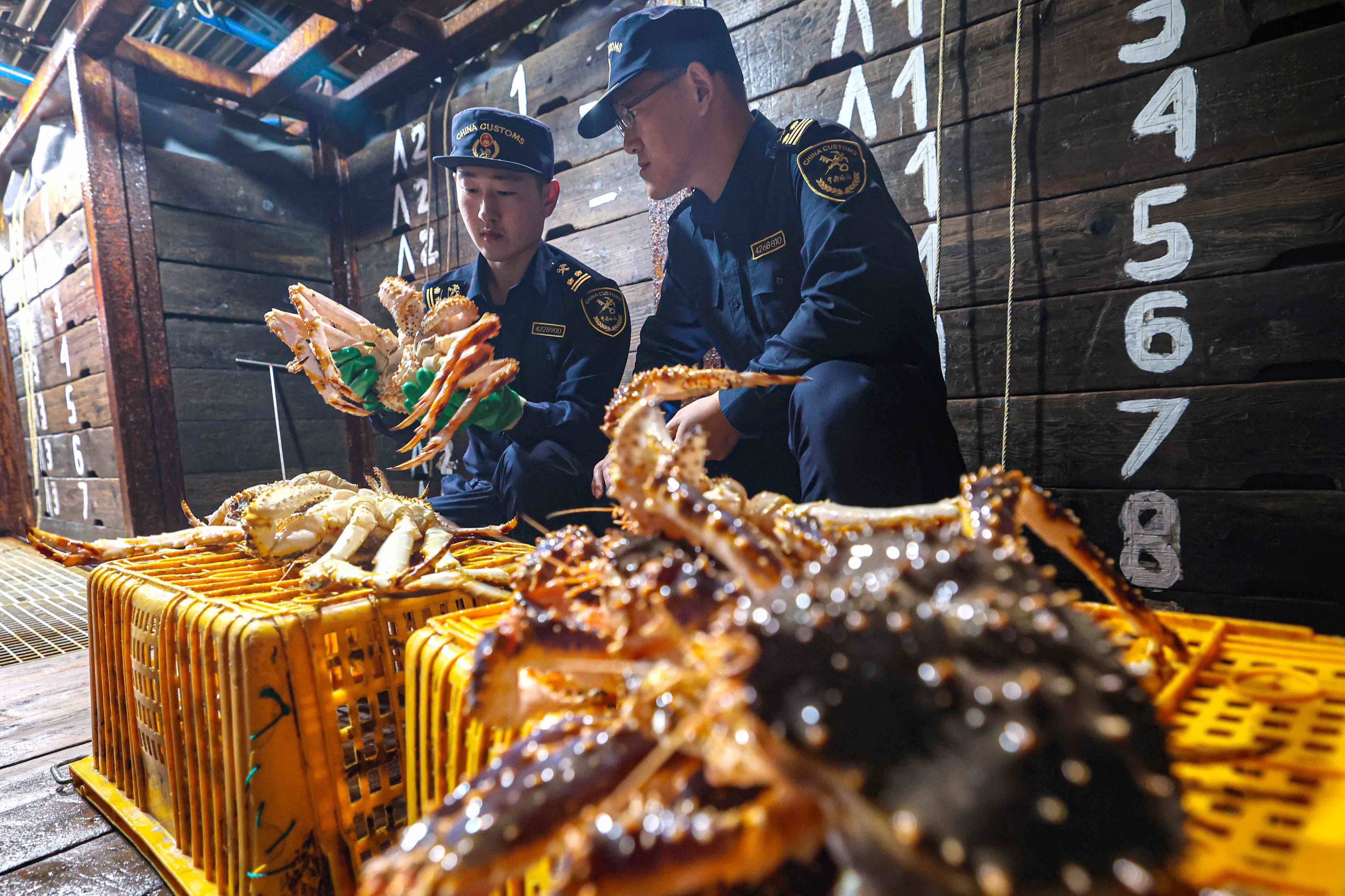 鲜活帝王蟹最快4小时直达餐桌