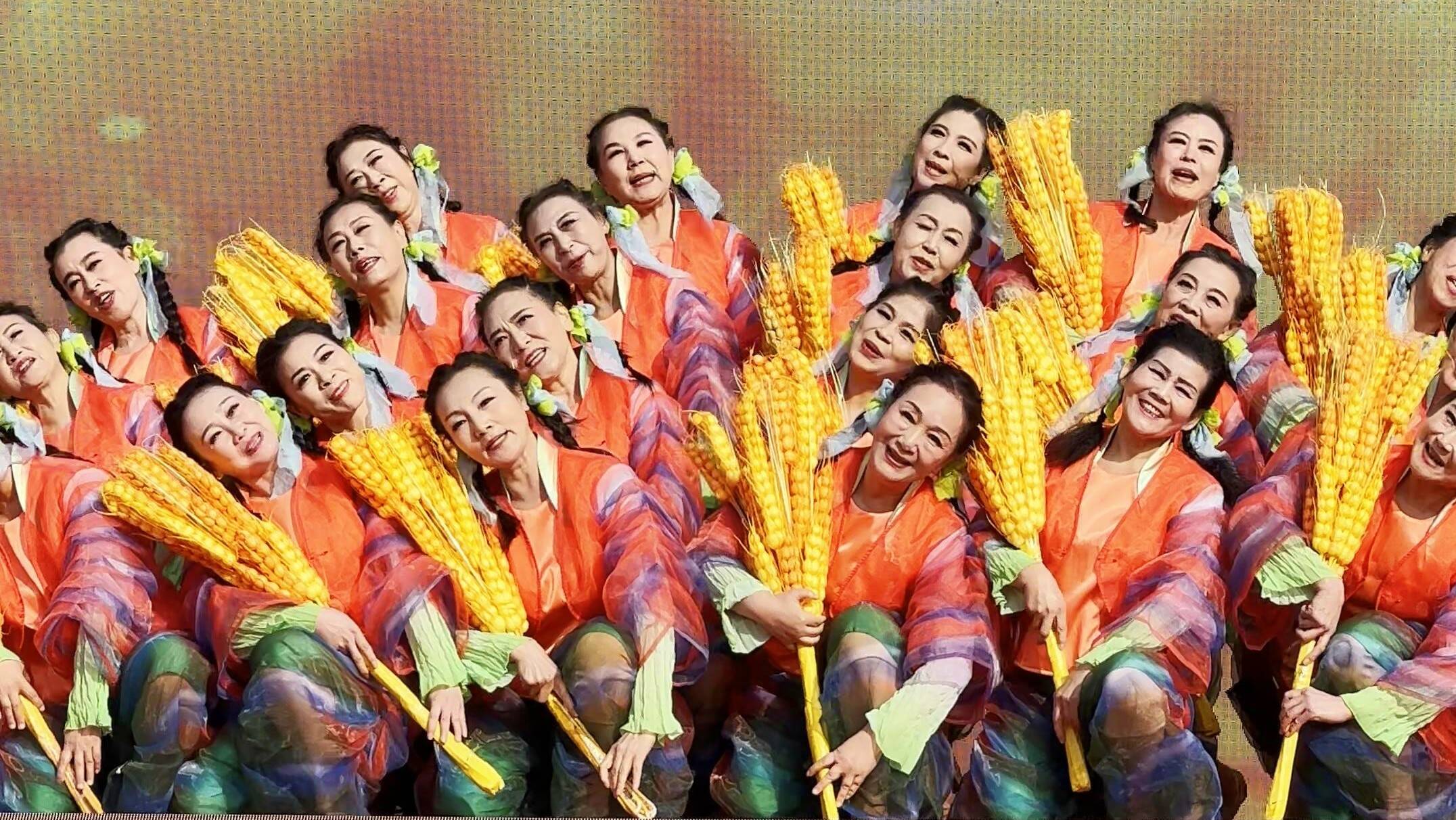 泰山脚下的老年天团好“年轻”! 重阳表演惊艳全场