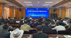 一堂培训课背后的淄企出海新思路