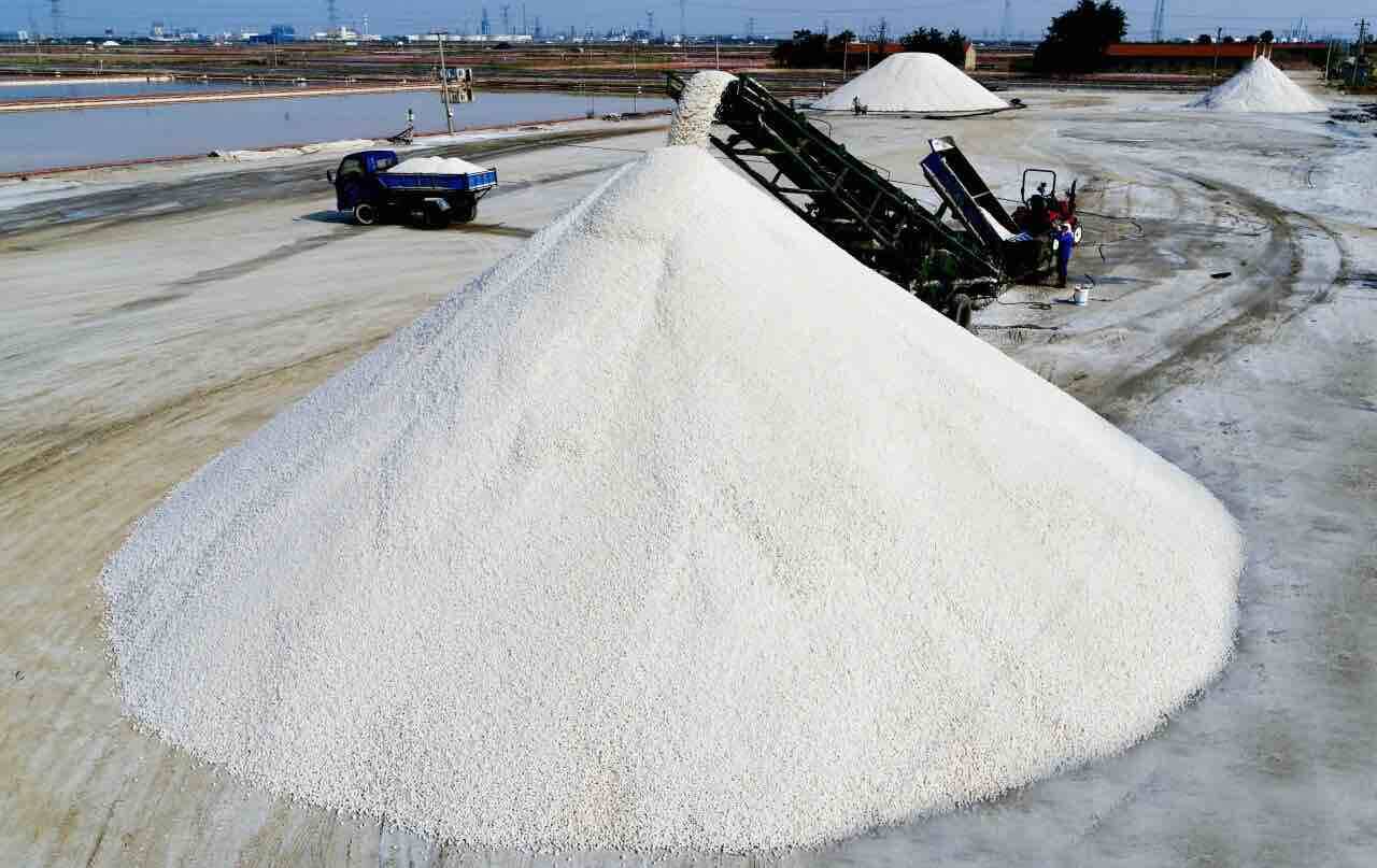 山东发展集团扎实推进原盐“秋产”与“冬准”工作