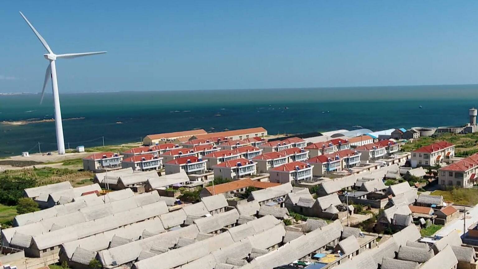 【学习贯彻党的二十届四中全会精神】扎实推进乡村全面振兴 促进区域协调发展