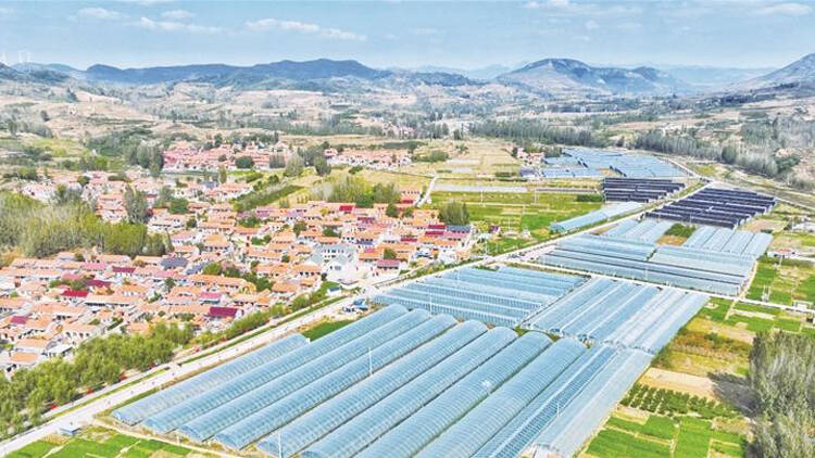 淄博：乡村振兴新面貌