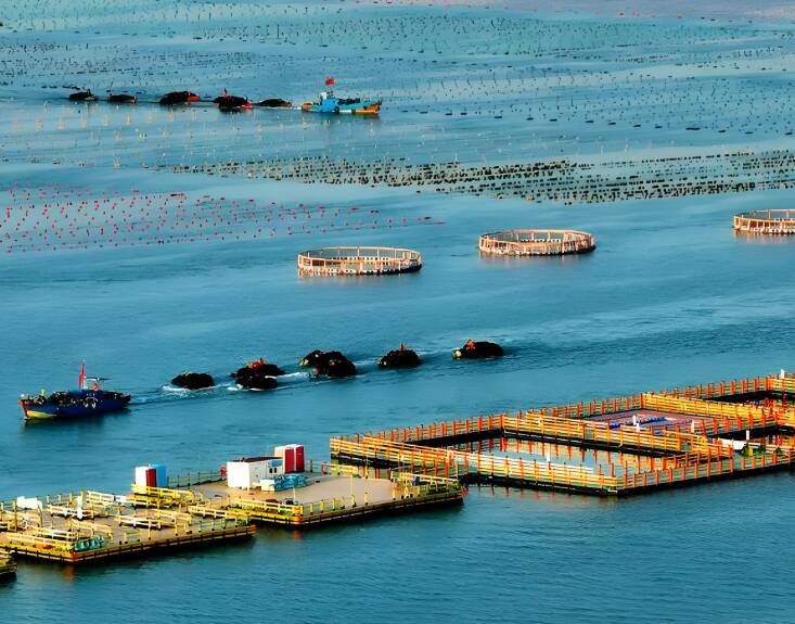 2024年山东休闲渔业总产值209.18亿元 连续八年稳居全国首位