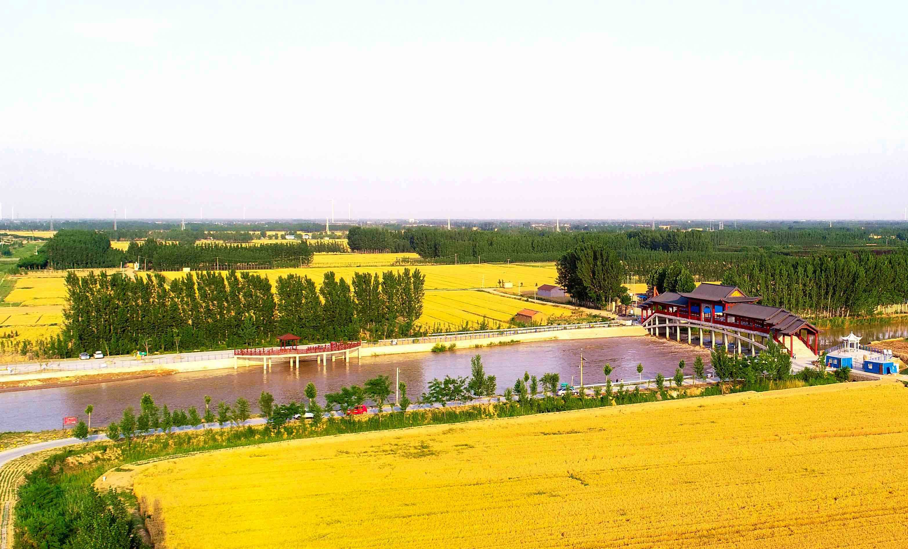 山东加快健全完善科学灌溉制度体系