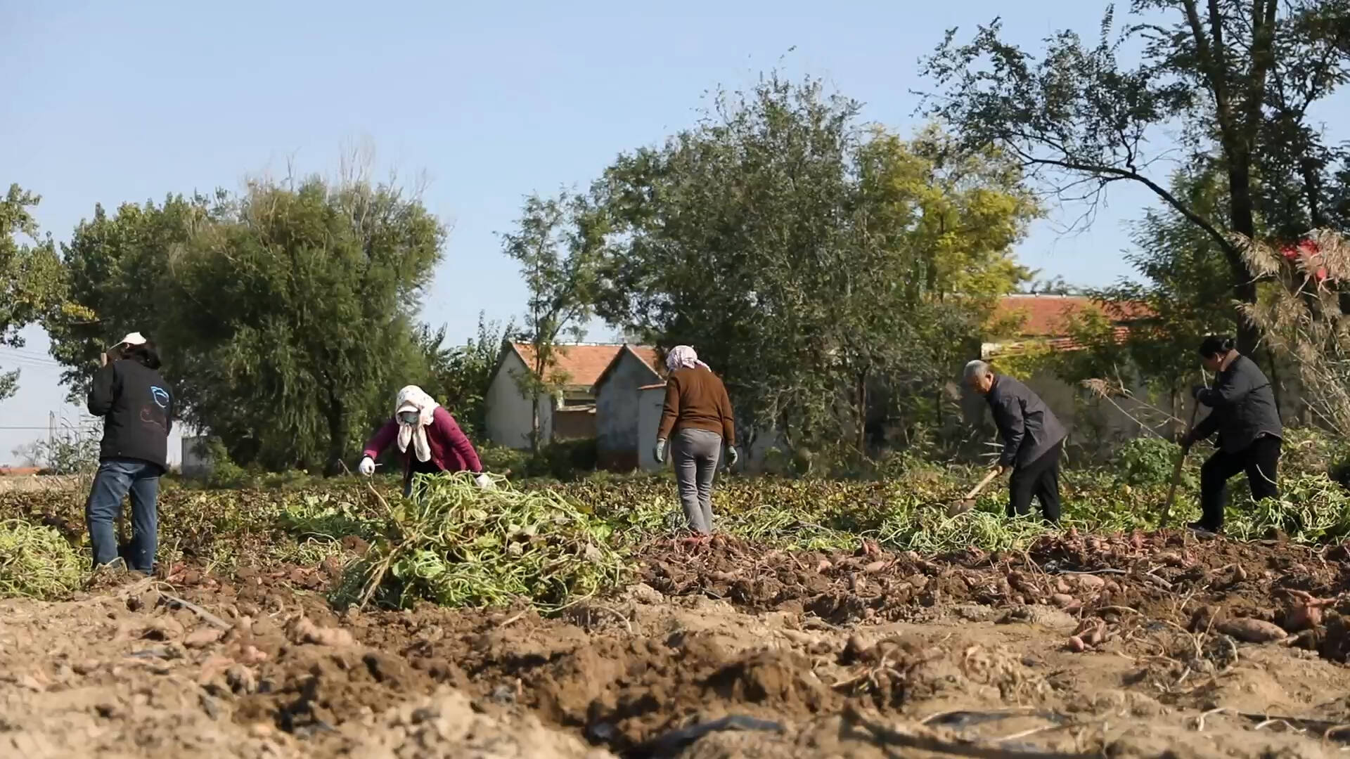 东营：社保卡“一元购” 惠民生促消费