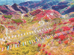 淄博：文旅融合新活力