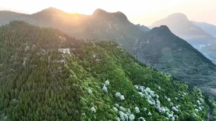 深读淄博|小山村央视开讲“共富故事”