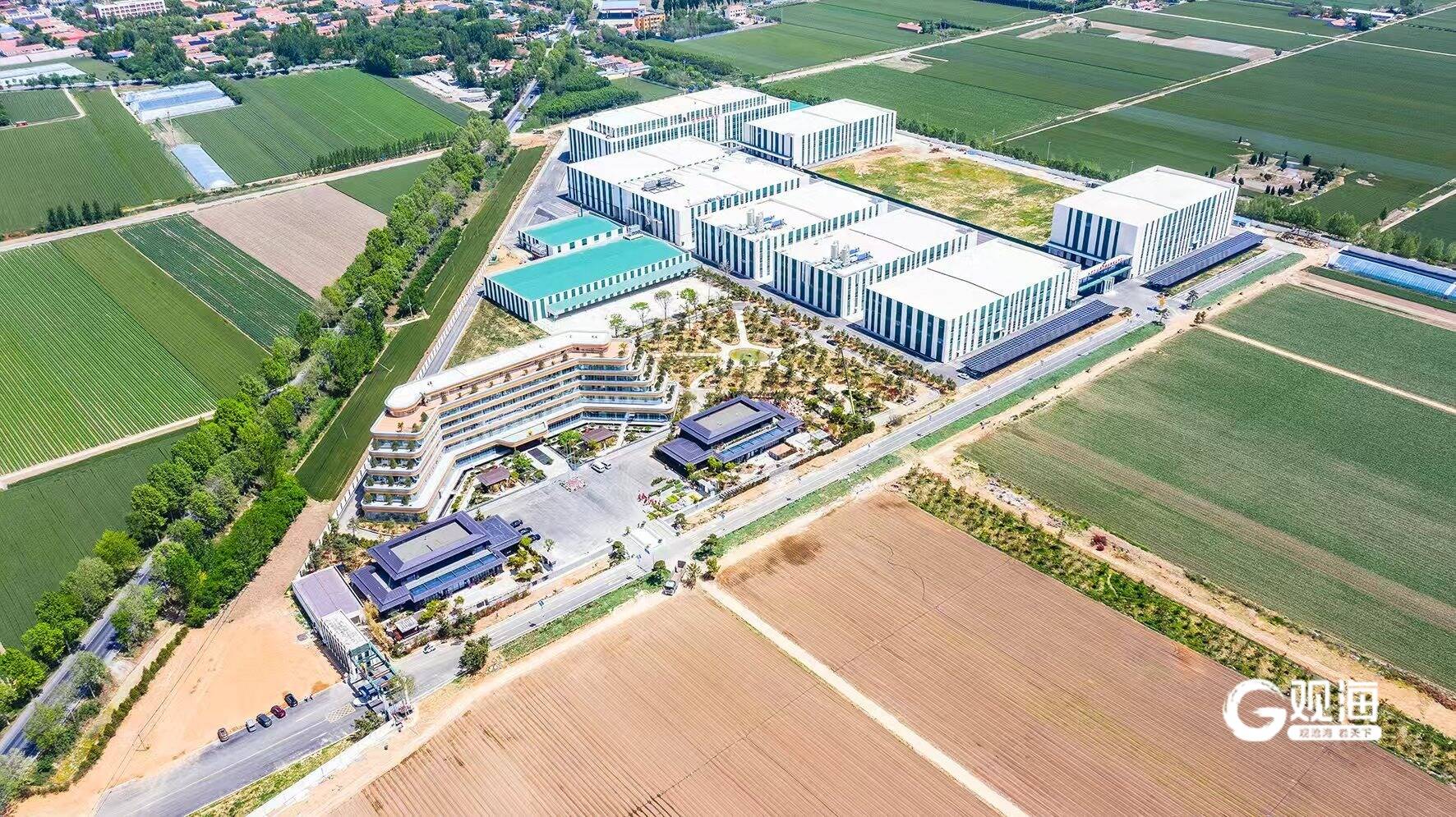 青岛又一“产业大脑”入选省级建设试点名单