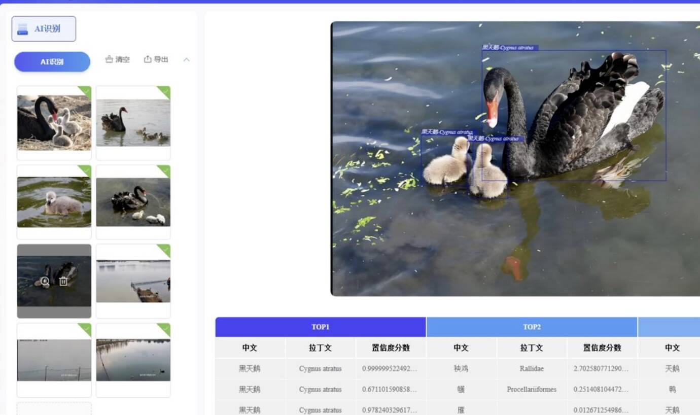 首次采用声纹技术“听声识鸟”！青岛试点投用全新鸟类智能监测系统